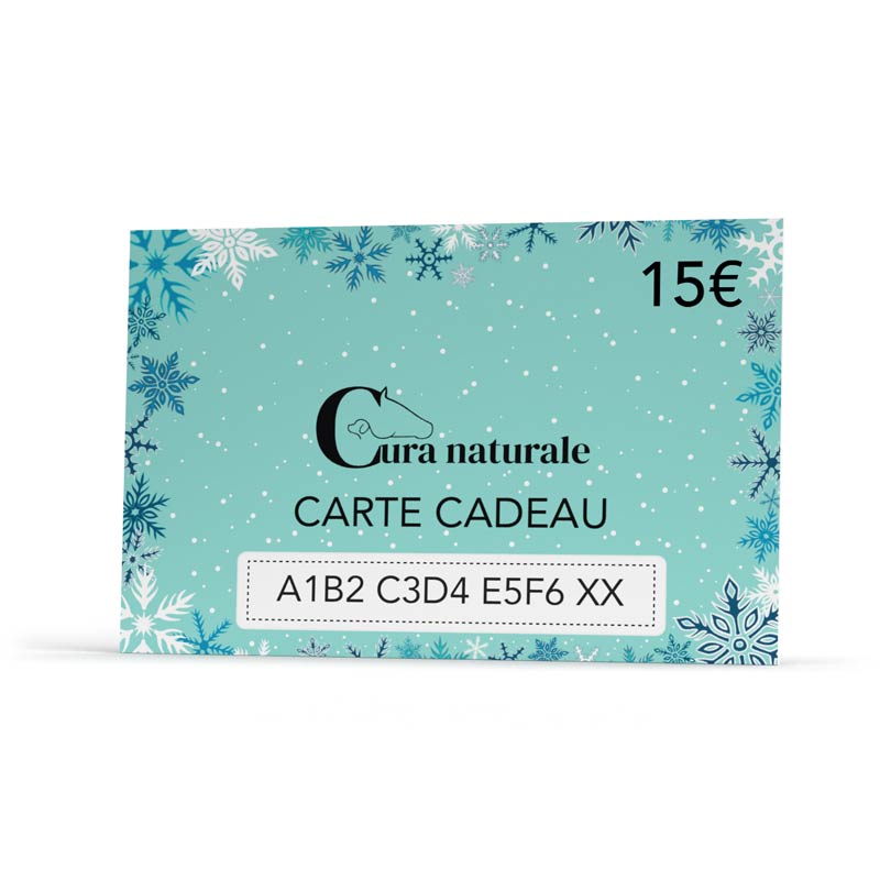 Carte cadeau hivernale