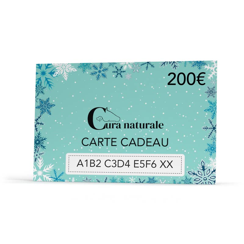 Carte cadeau hivernale