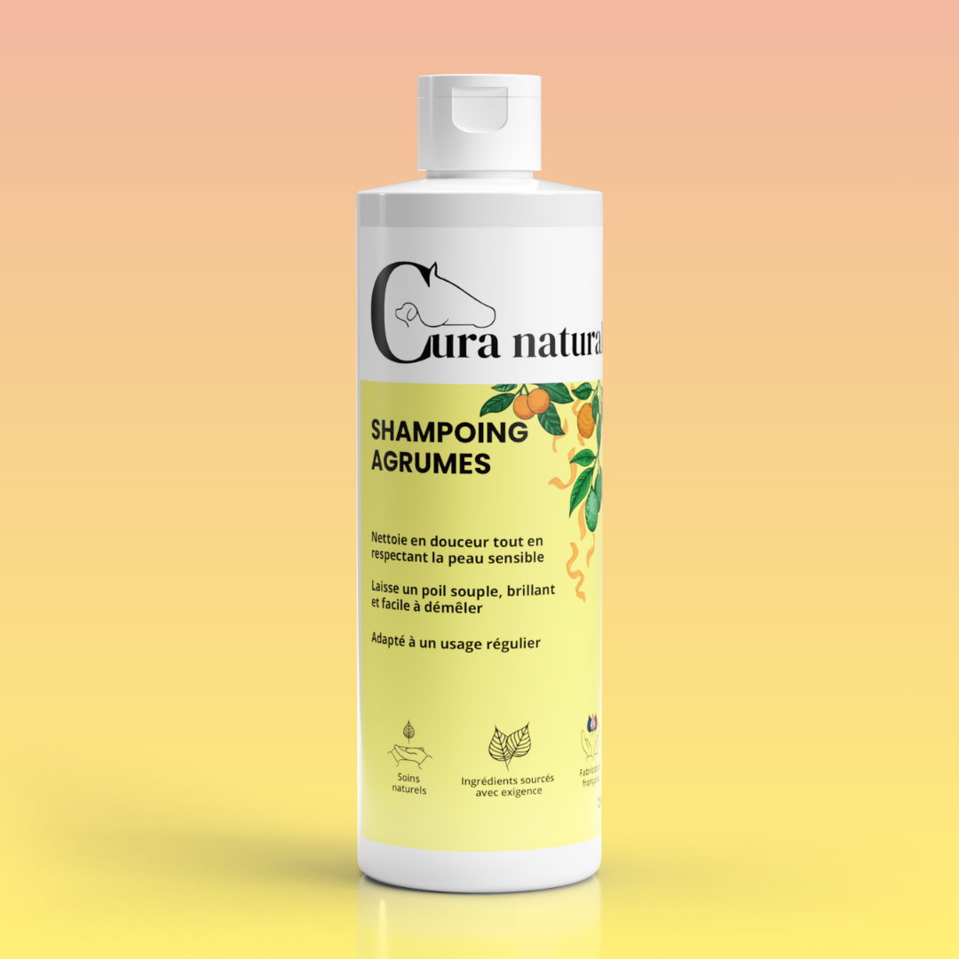 Shampoing - flacon 250 ml parfum agrumes été - Cura naturale