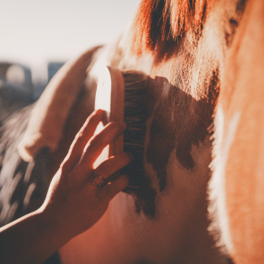 Dry shampoo