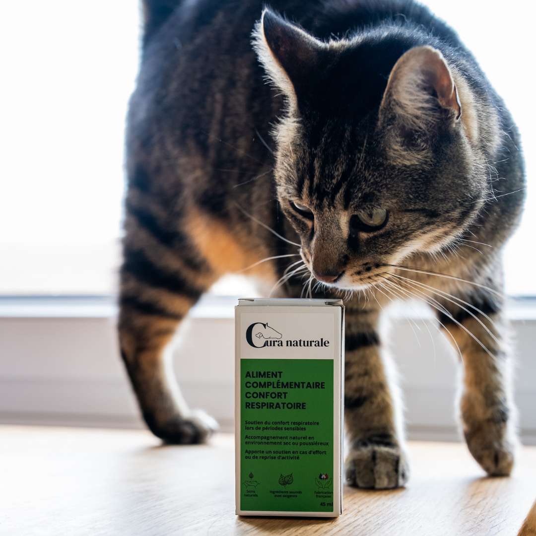 Aliment complémentaire confort respiratoire chat - boîte au sol - Cura naturale