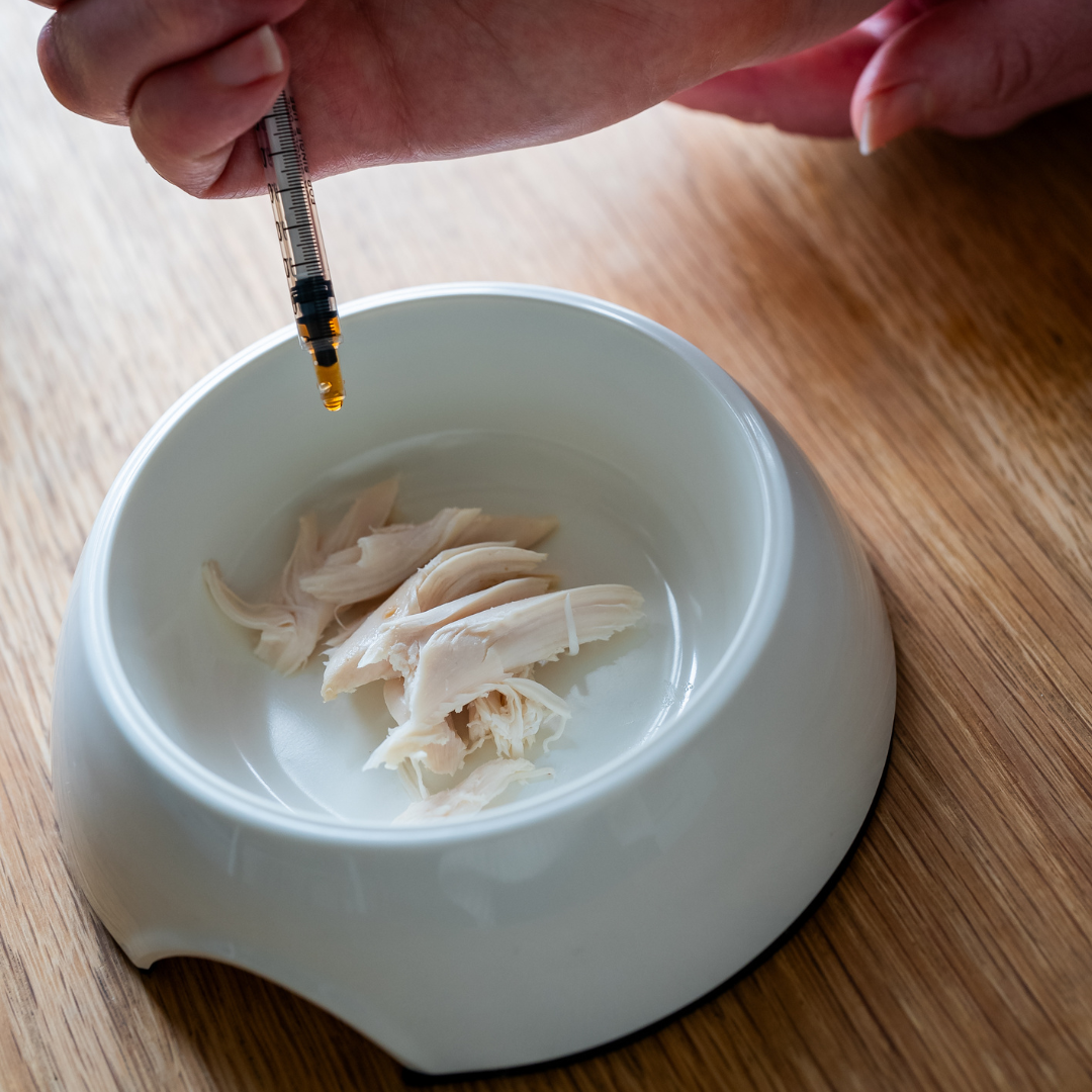 Aliment complémentaire confort respiratoire chat - dosage dans gamelle avec poulet - Cura naturale