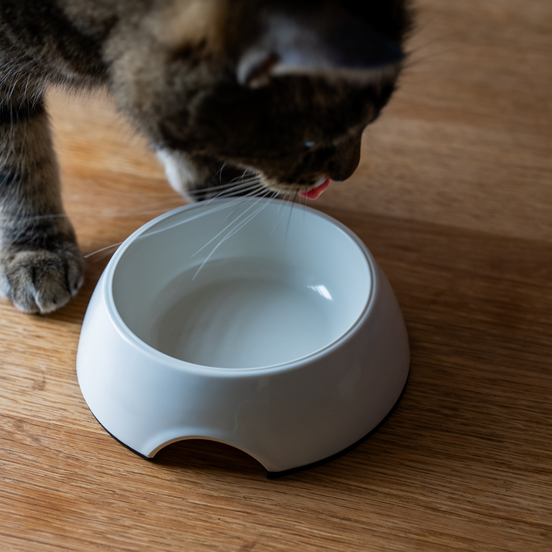 Aliment complémentaire confort respiratoire chat - solution mélangée dans la gamelle - Cura naturale-2