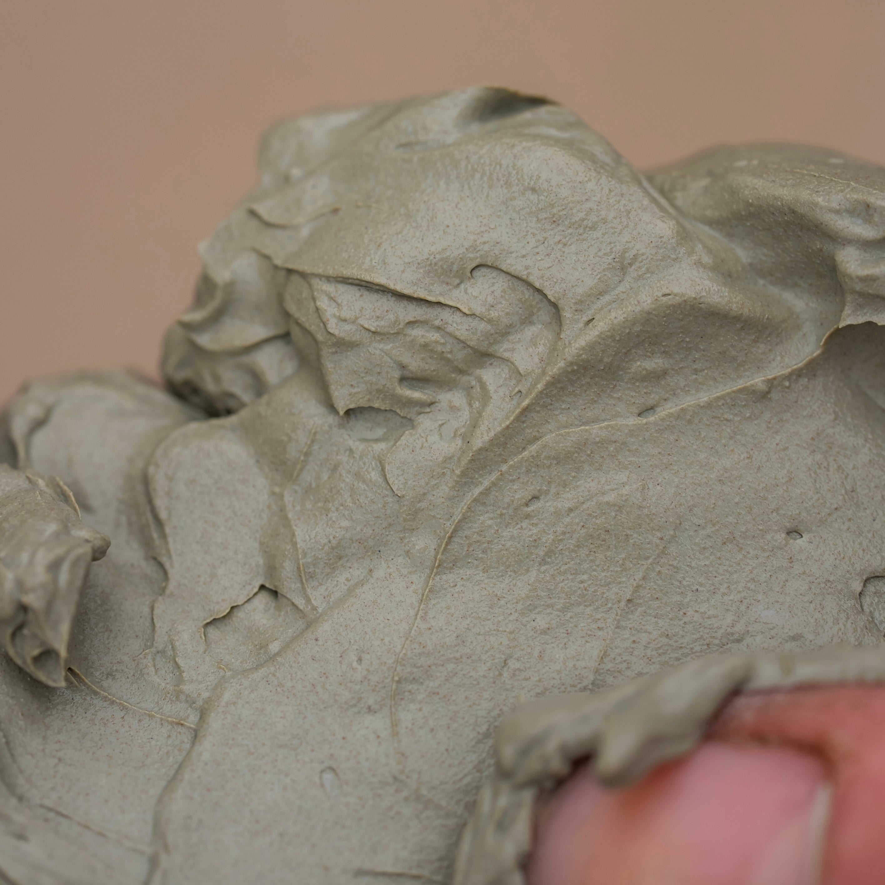 Clay muscle comfort horse texture