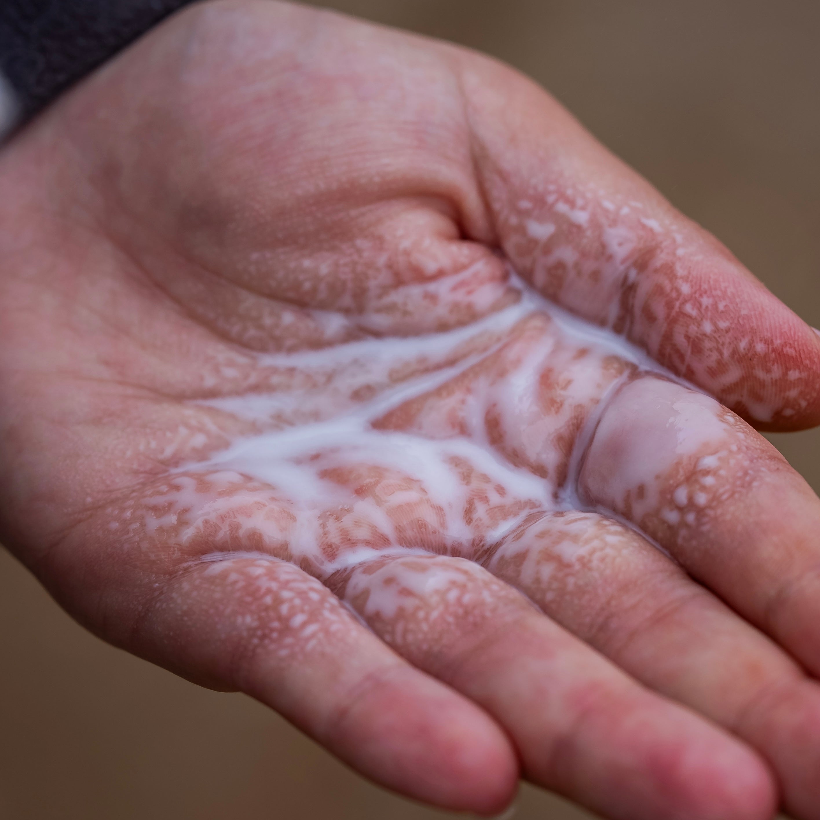 Textura desembaraçadora e brilhante para cachorro