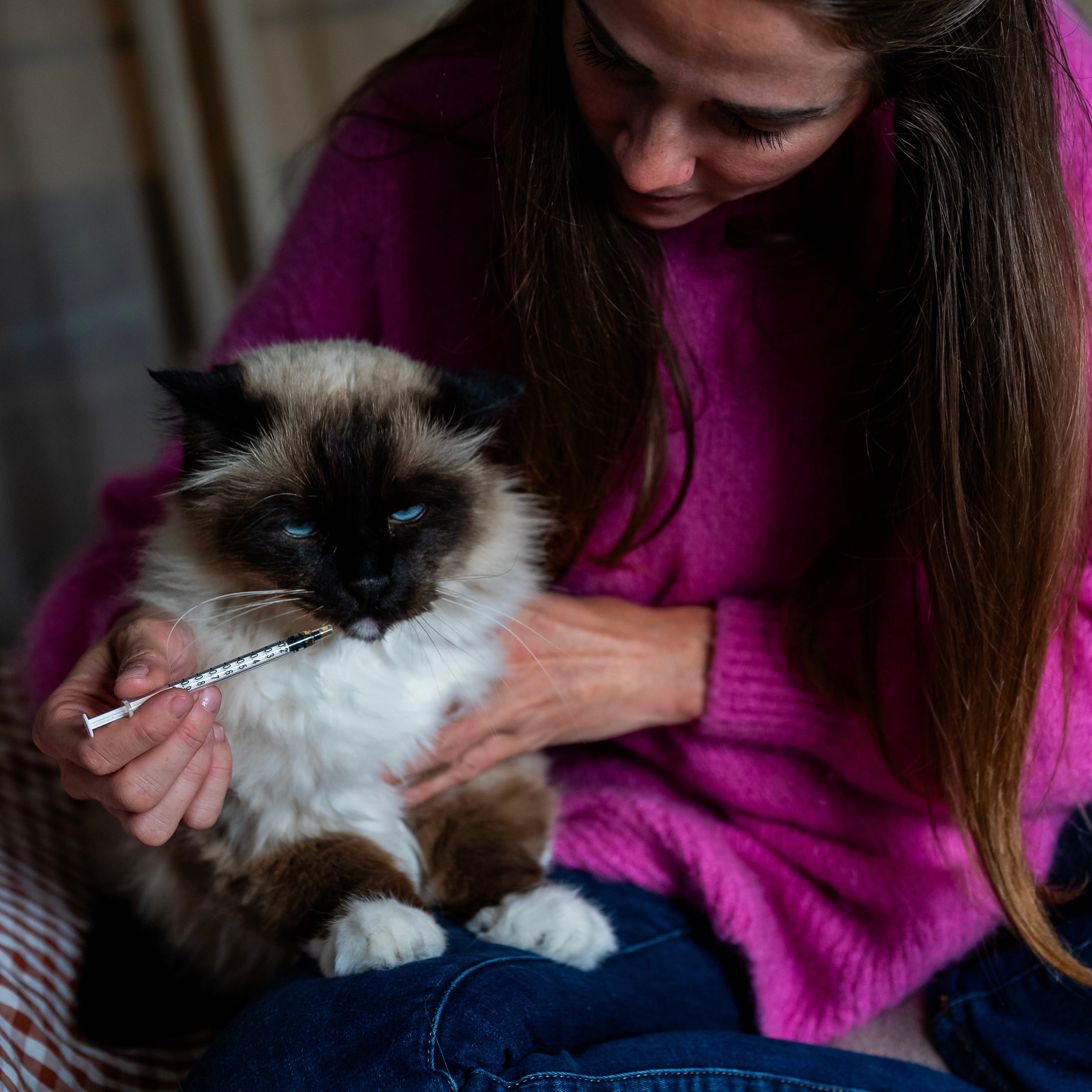 AC relaxant chat administration