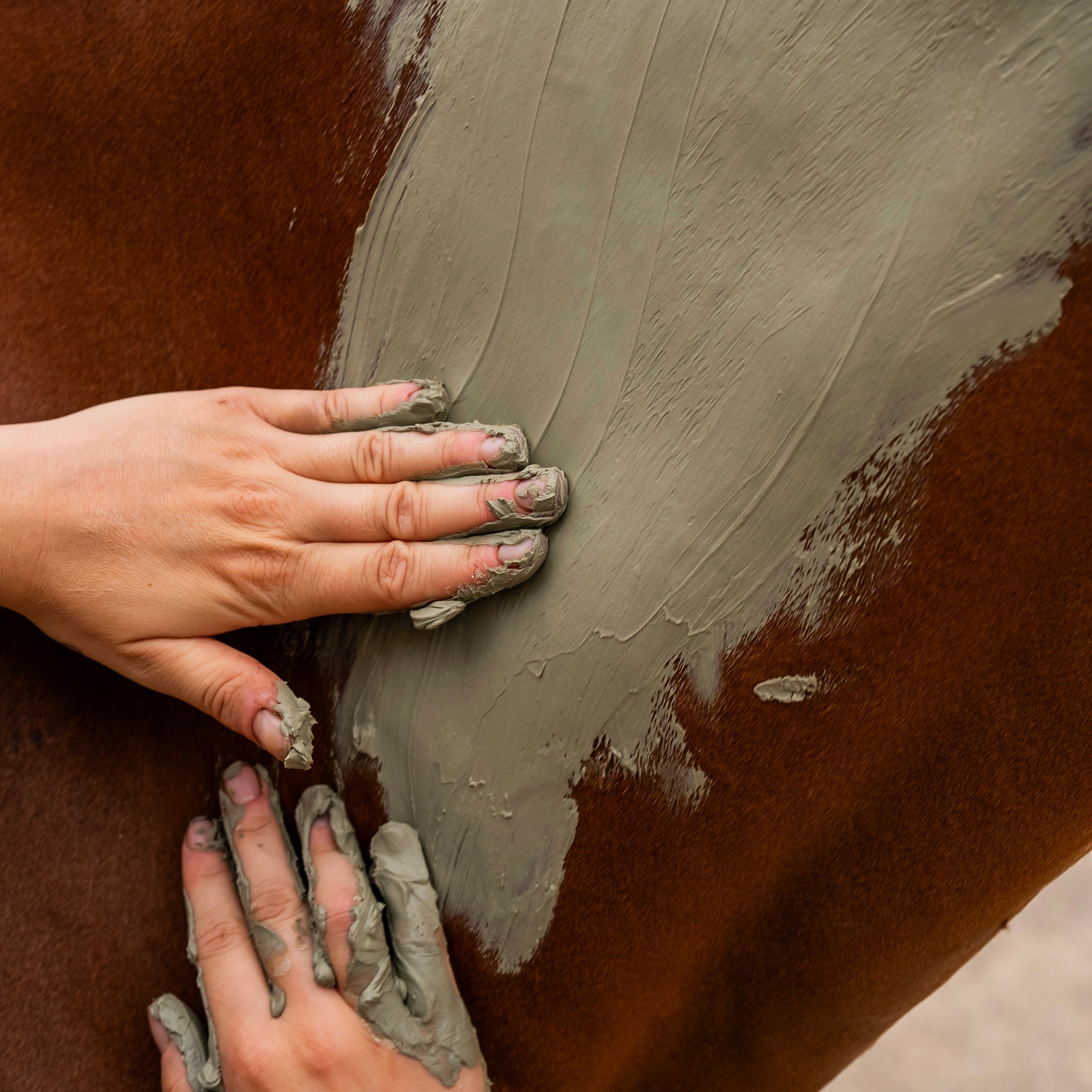 Horse muscle comfort clay application