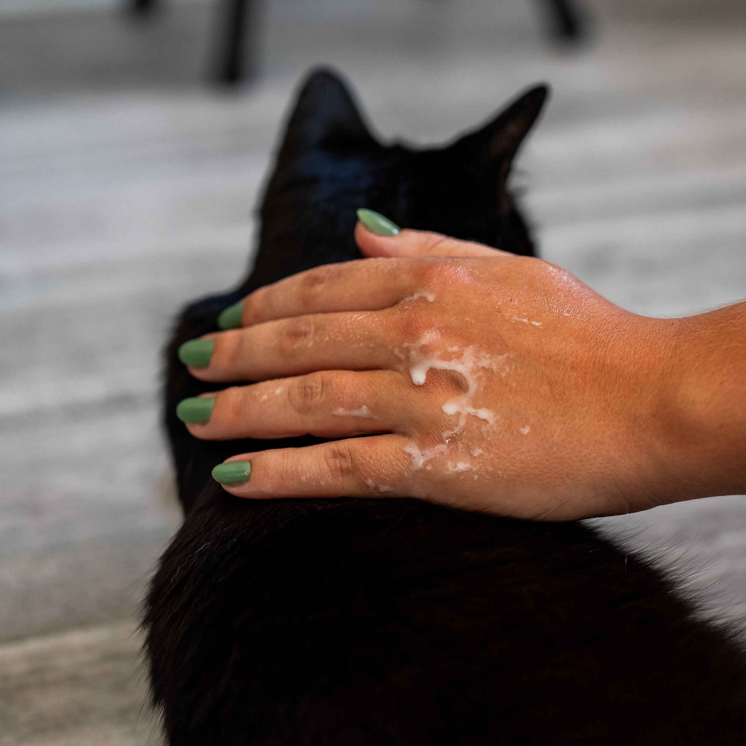 Démêlant & lustrant chat application