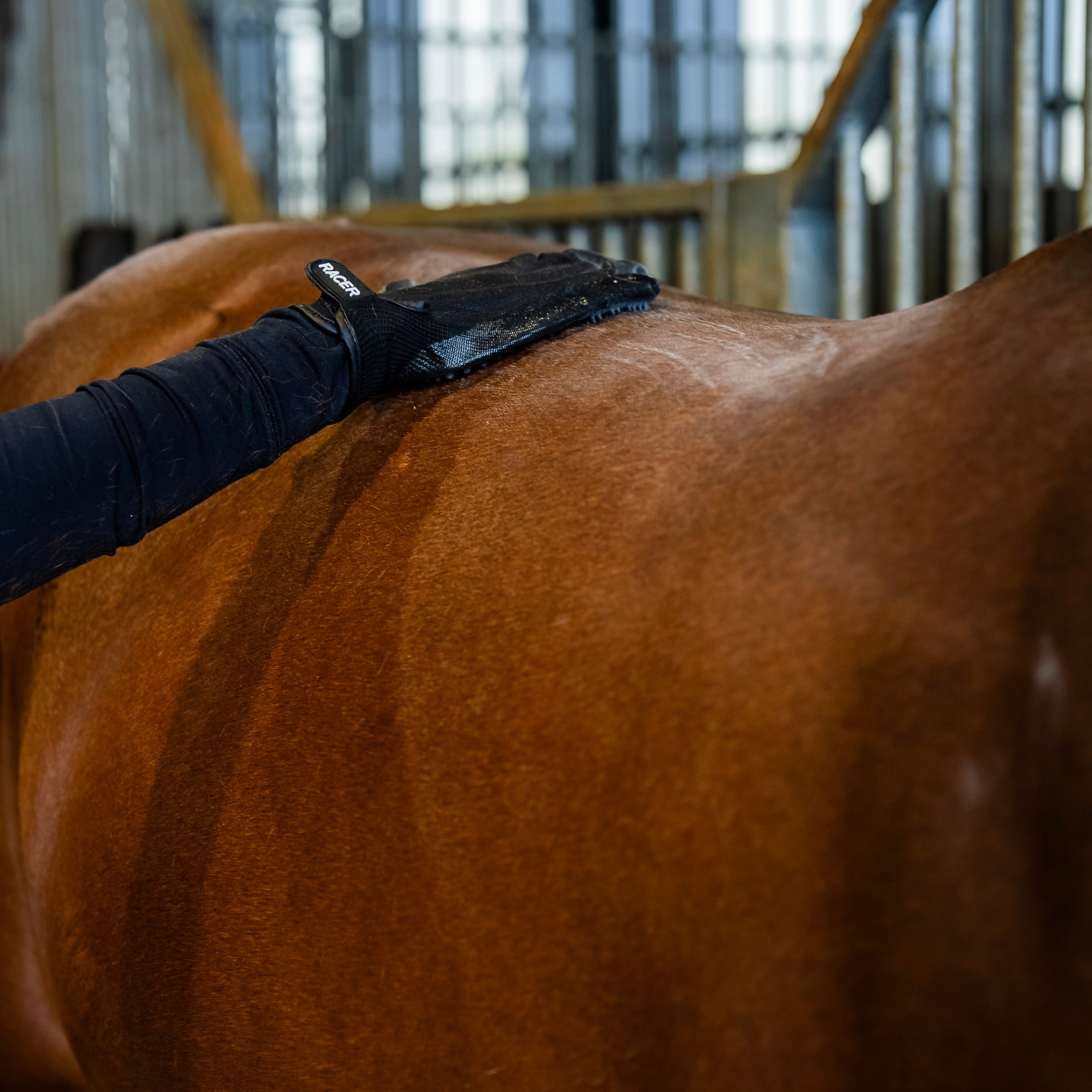 Shampoing sec application