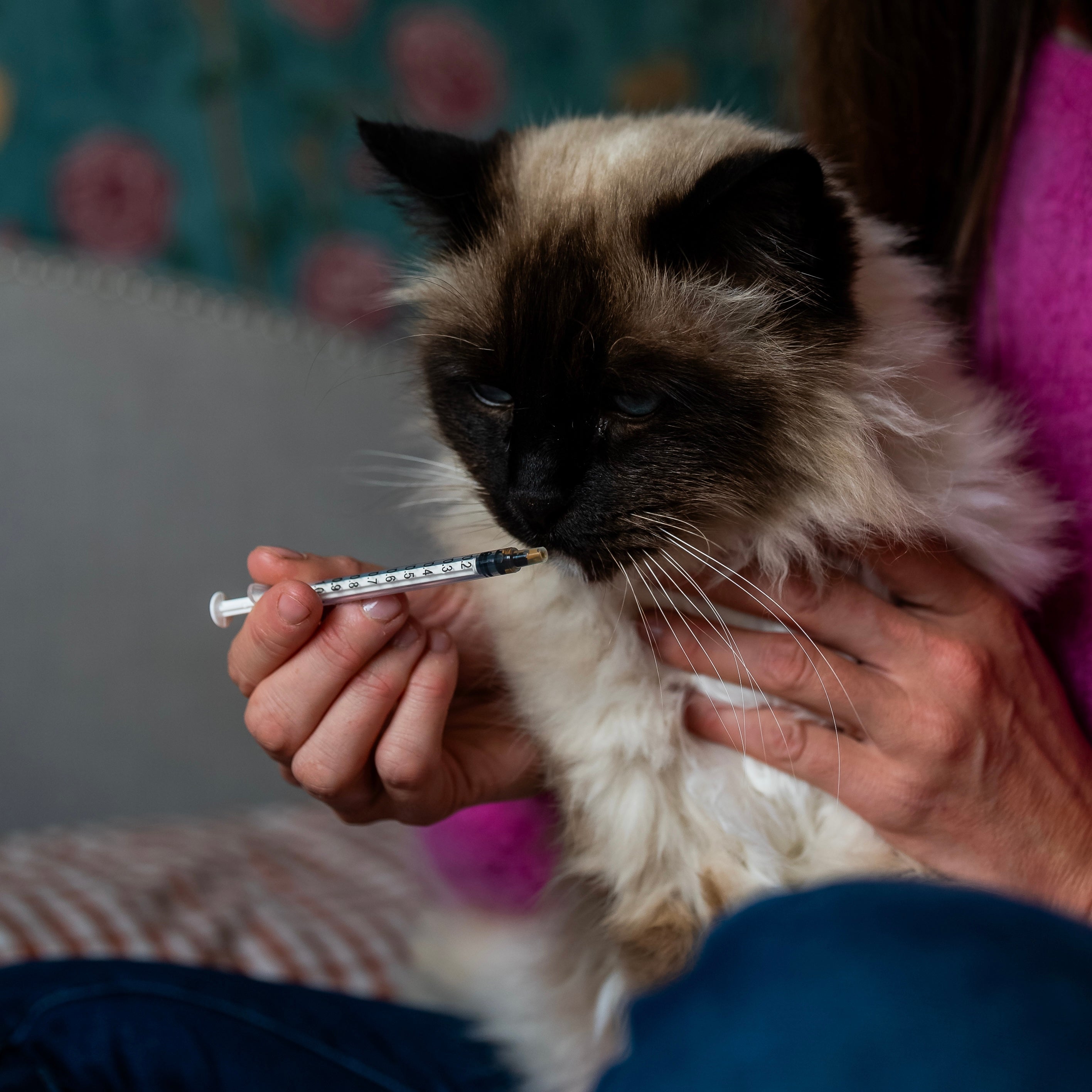 AC relaxant chat administration