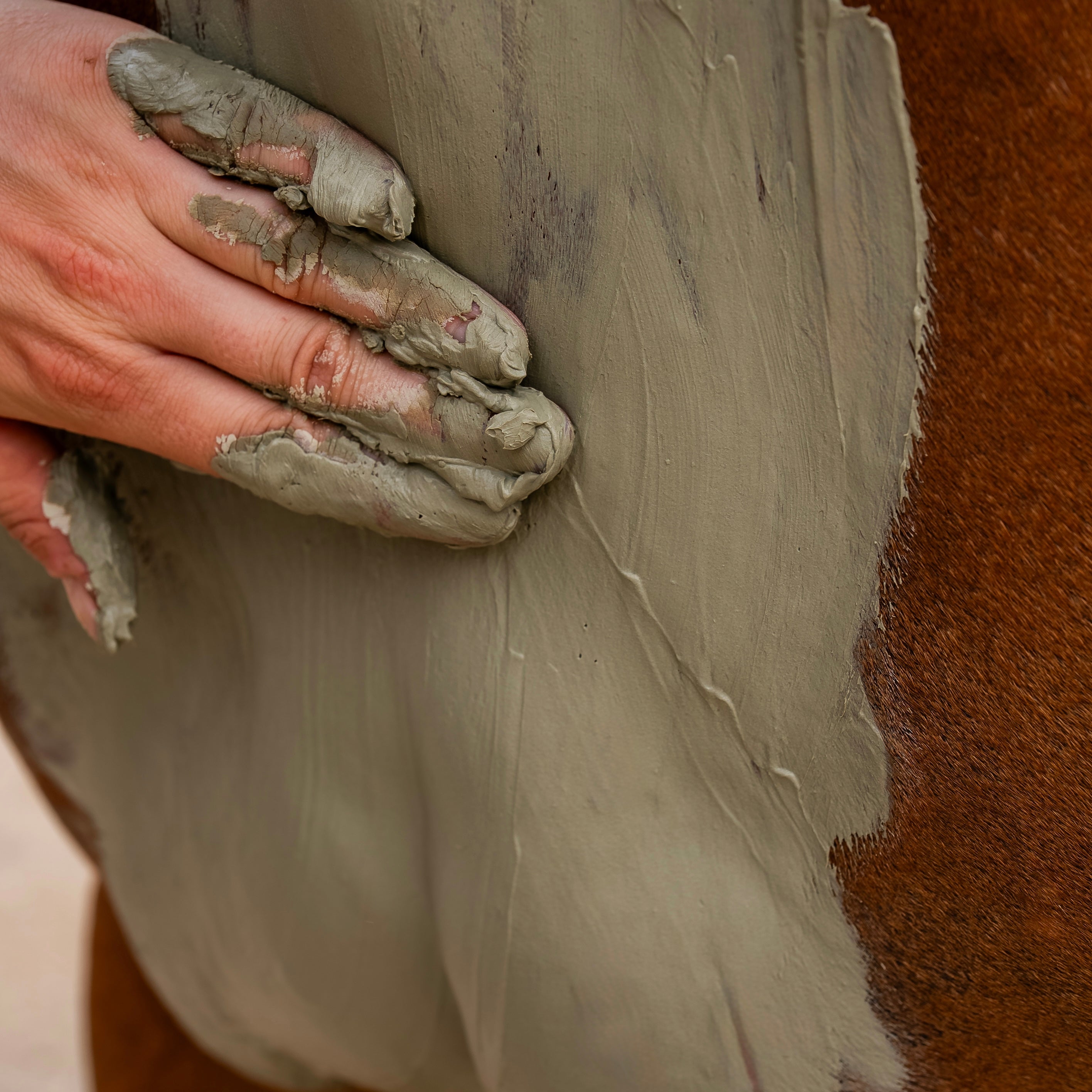 Horse muscle comfort clay application