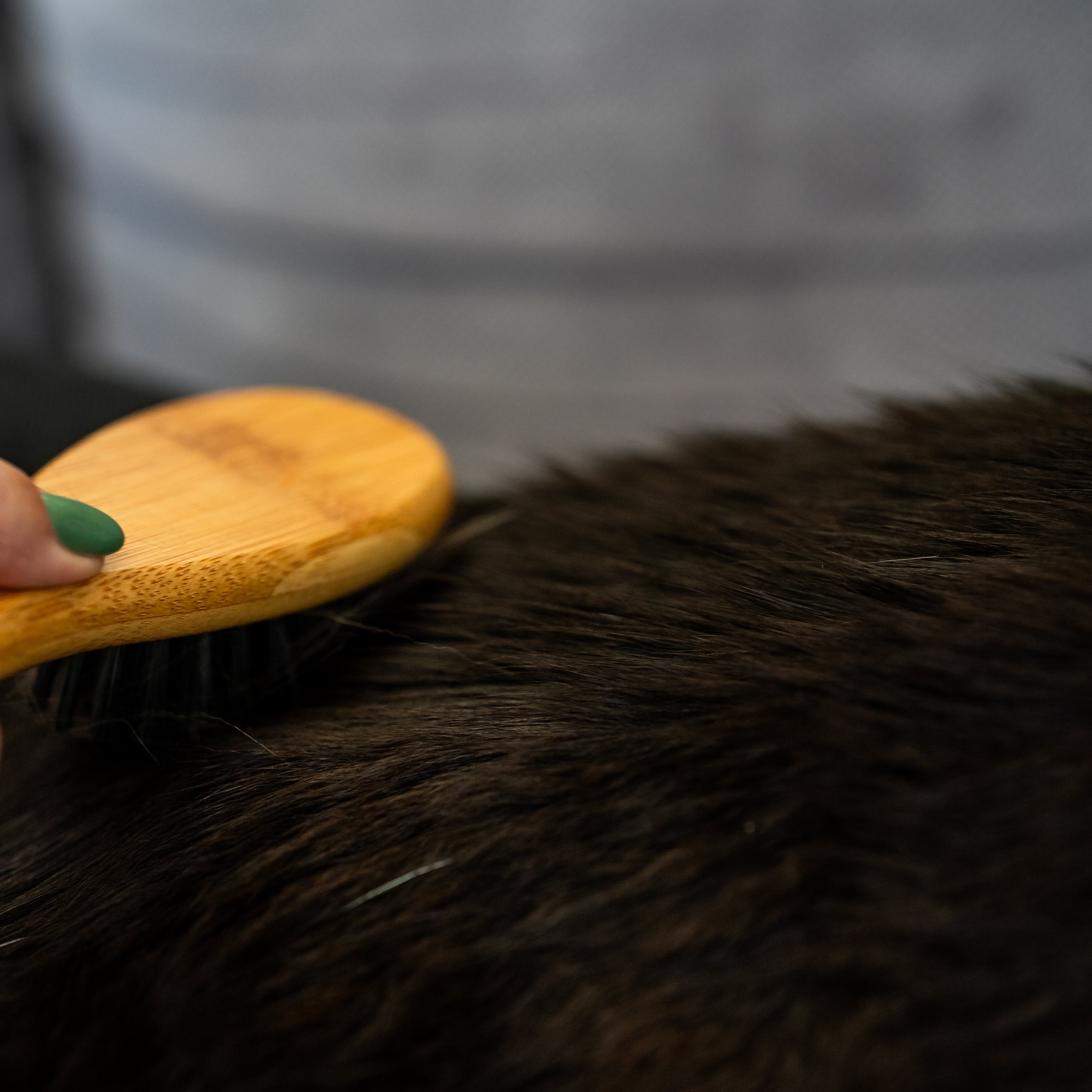 Démêlant & lustrant chat application