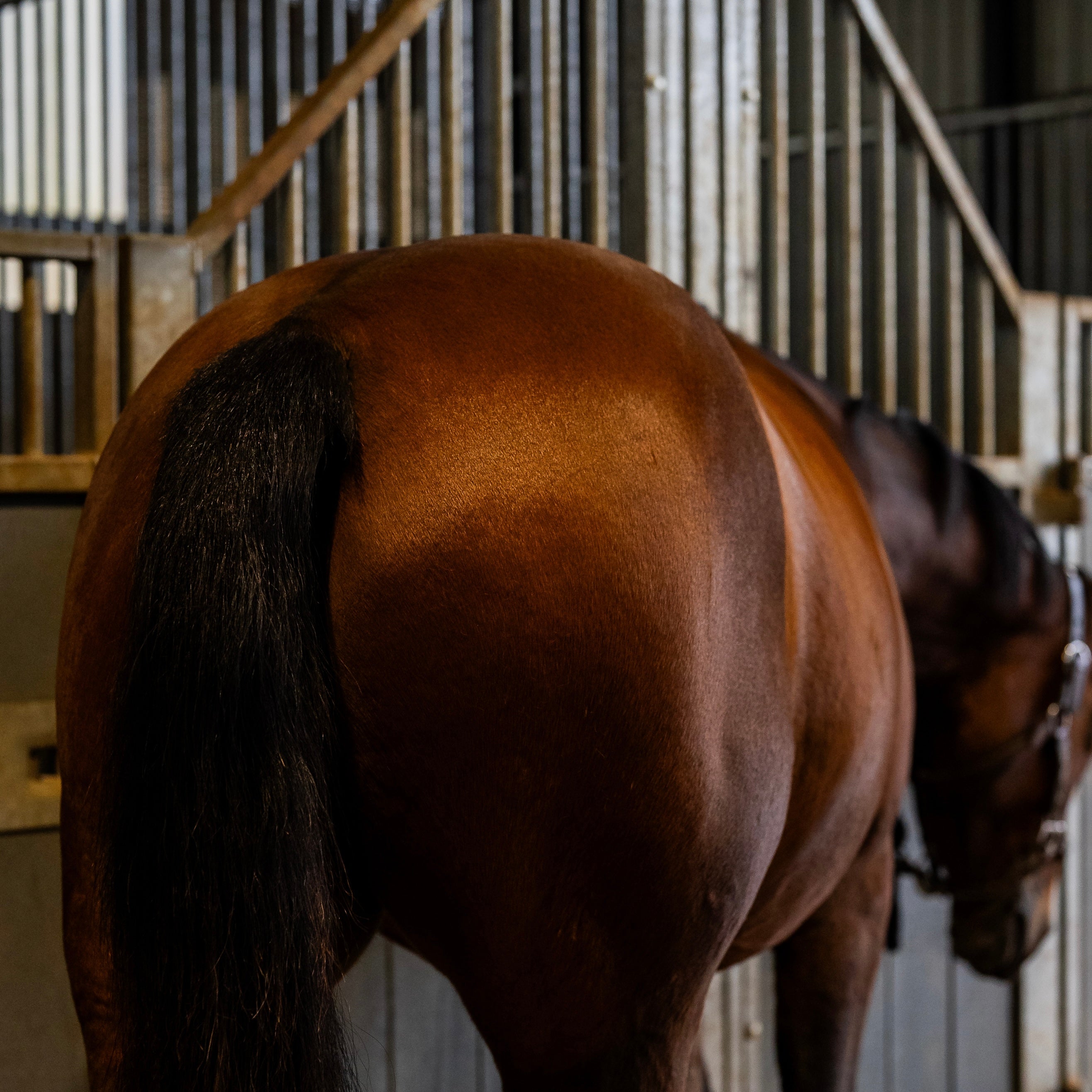 Shampoing sec résultat