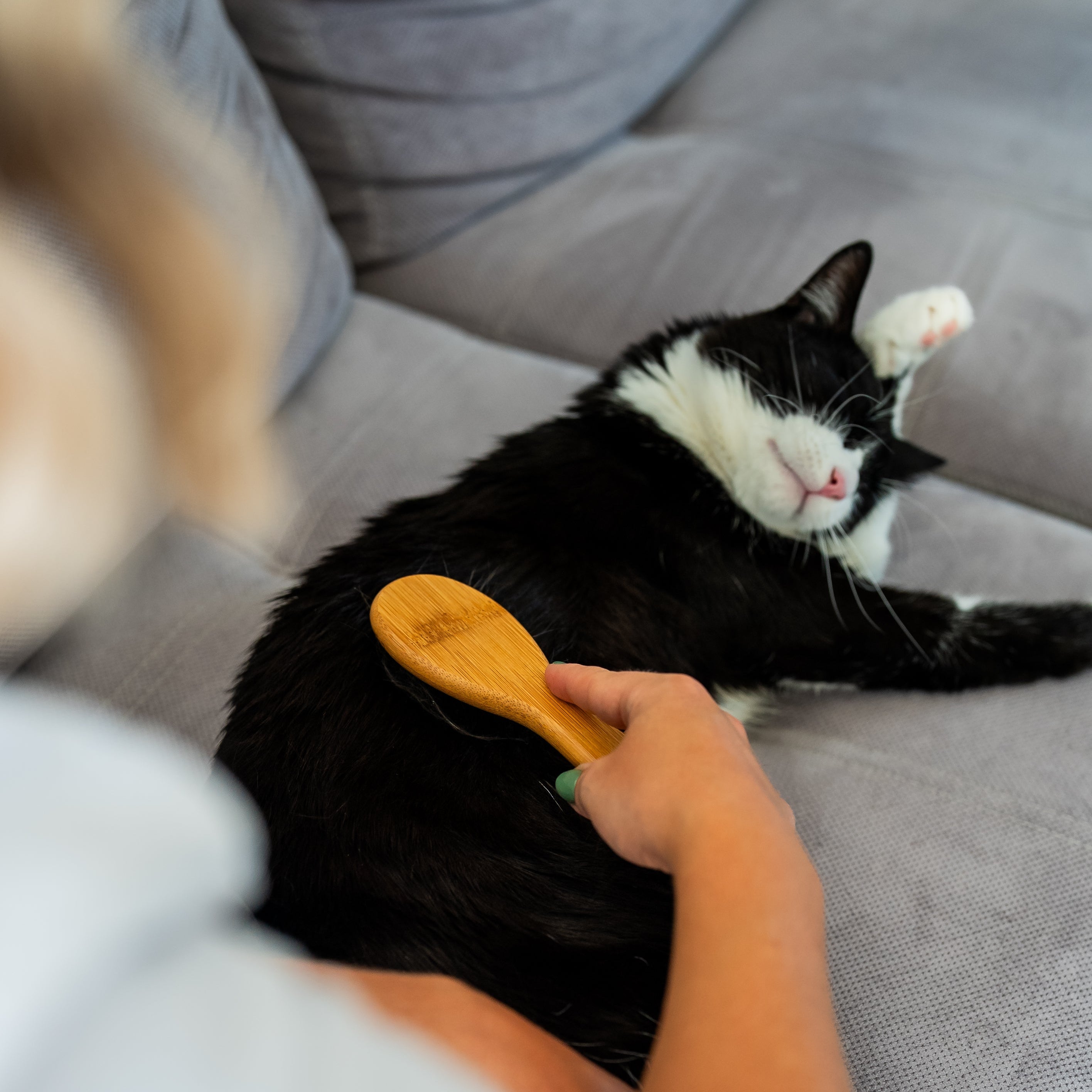 Démêlant & lustrant chat application