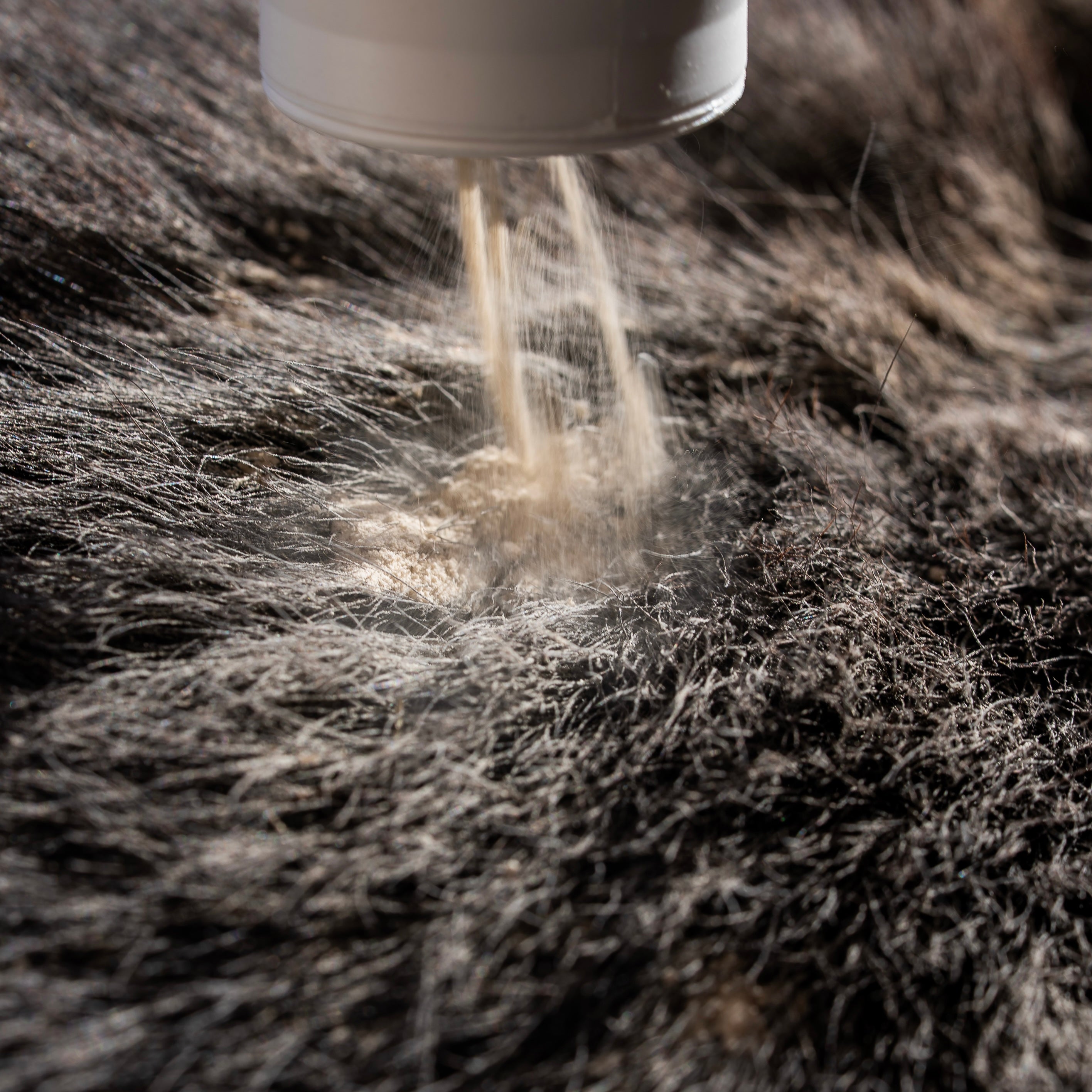 Poudre assainissante utilisation