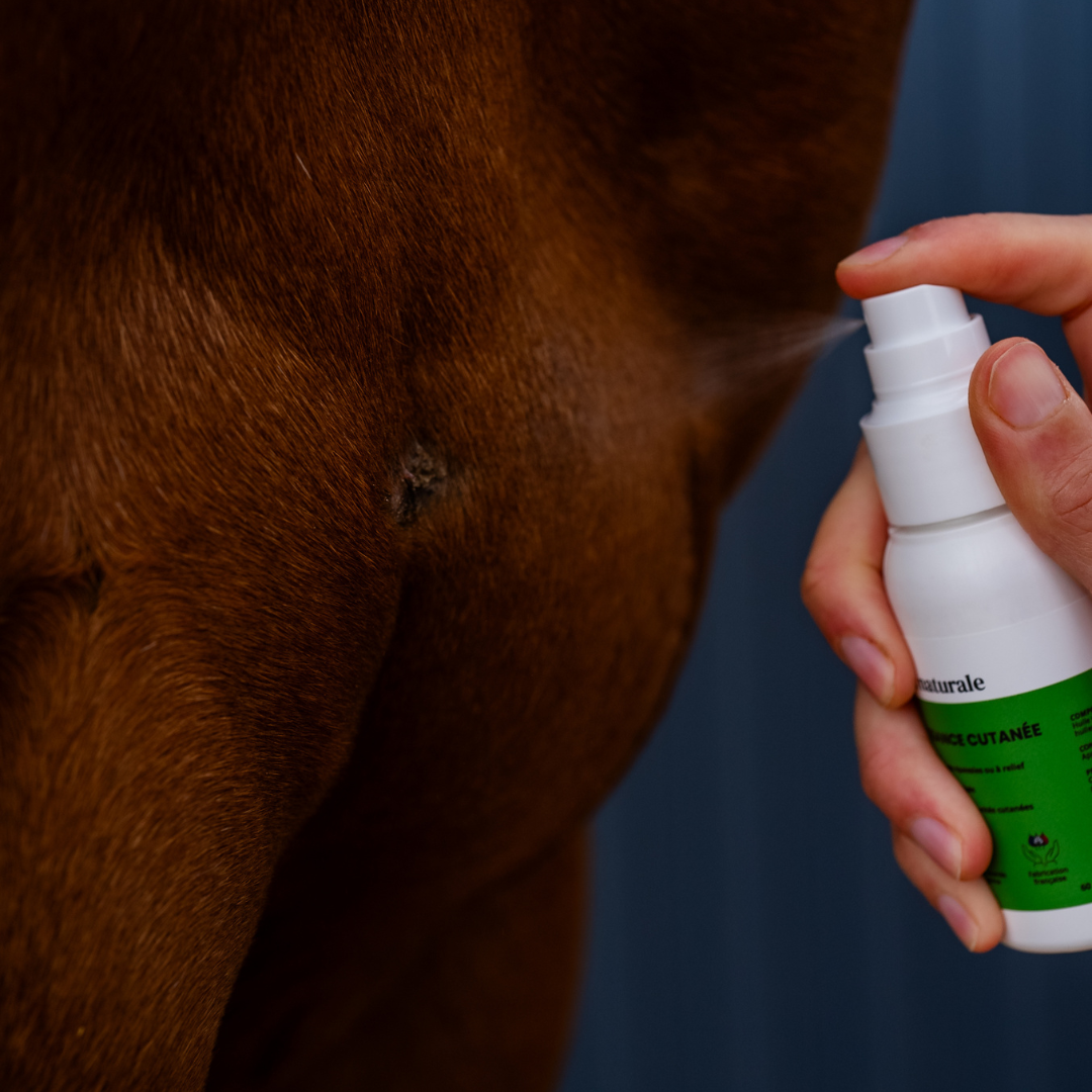 Huile excroissance cutanée cheval - vaporisation ciblée en gros plan - Cura naturale