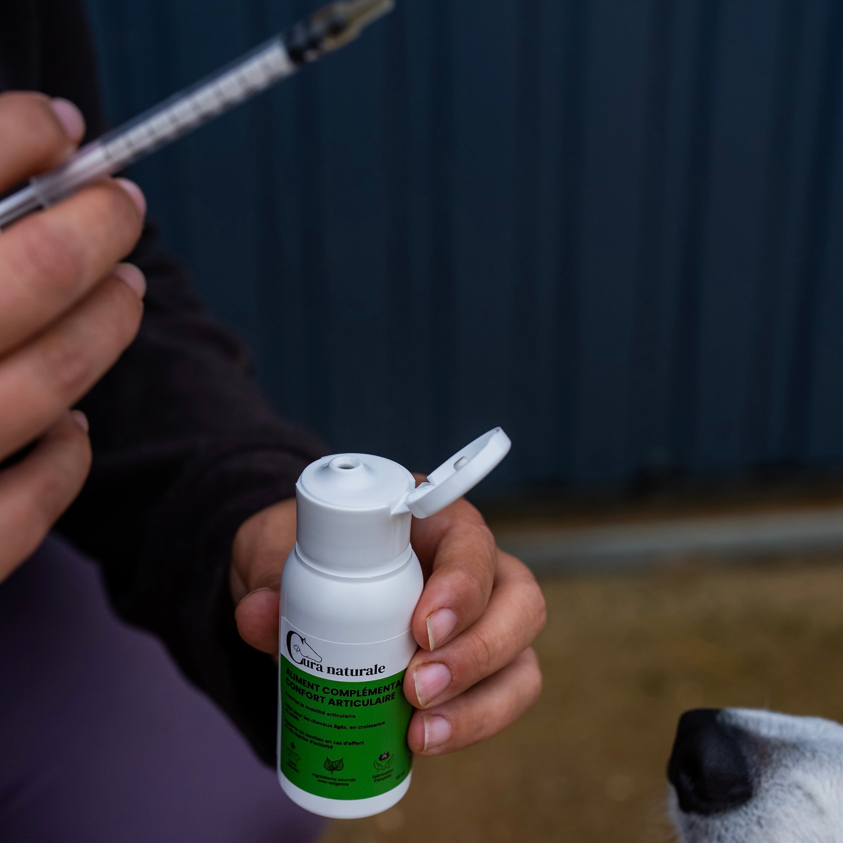 AC Confort articulaire chien