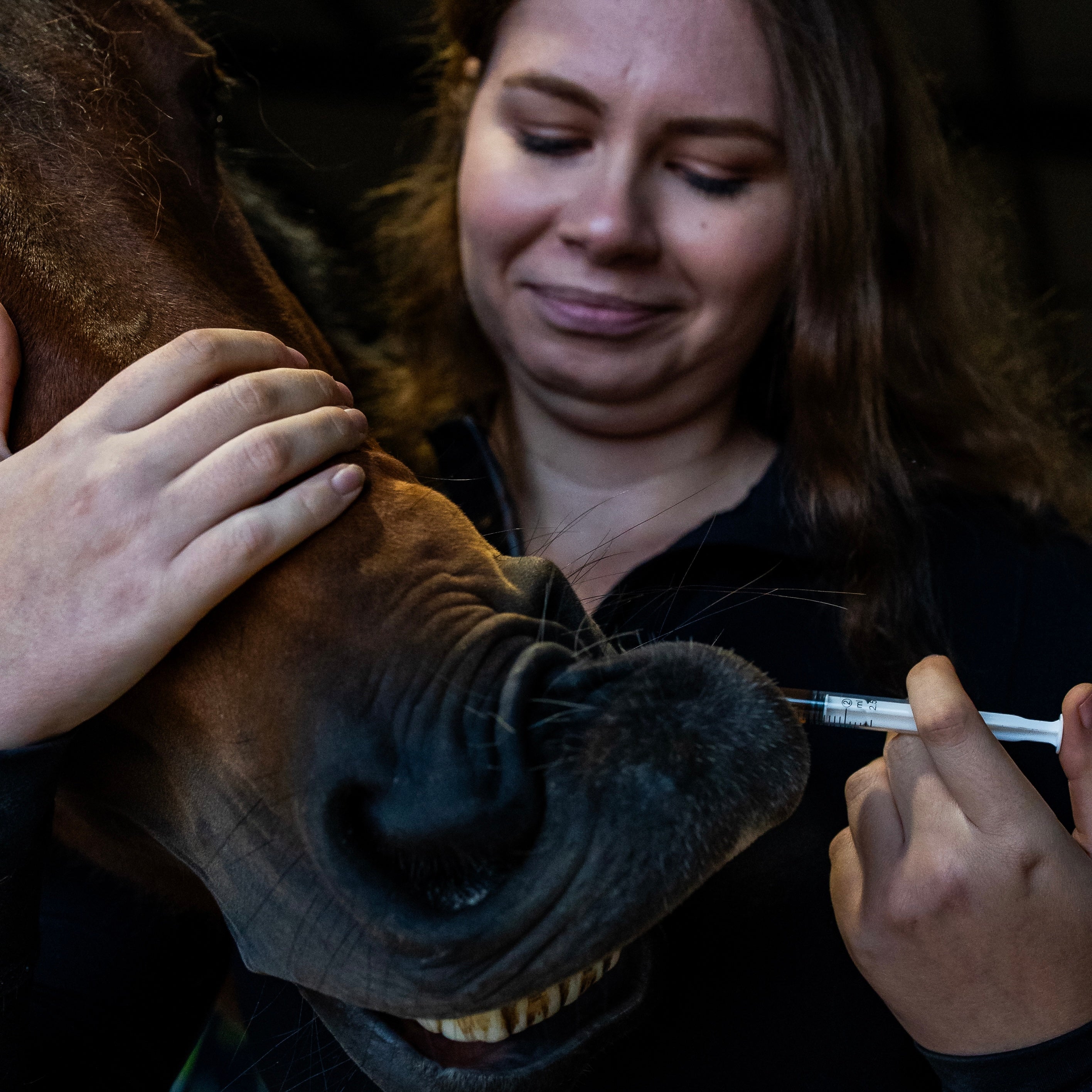 AC Soutien tendineux cheval