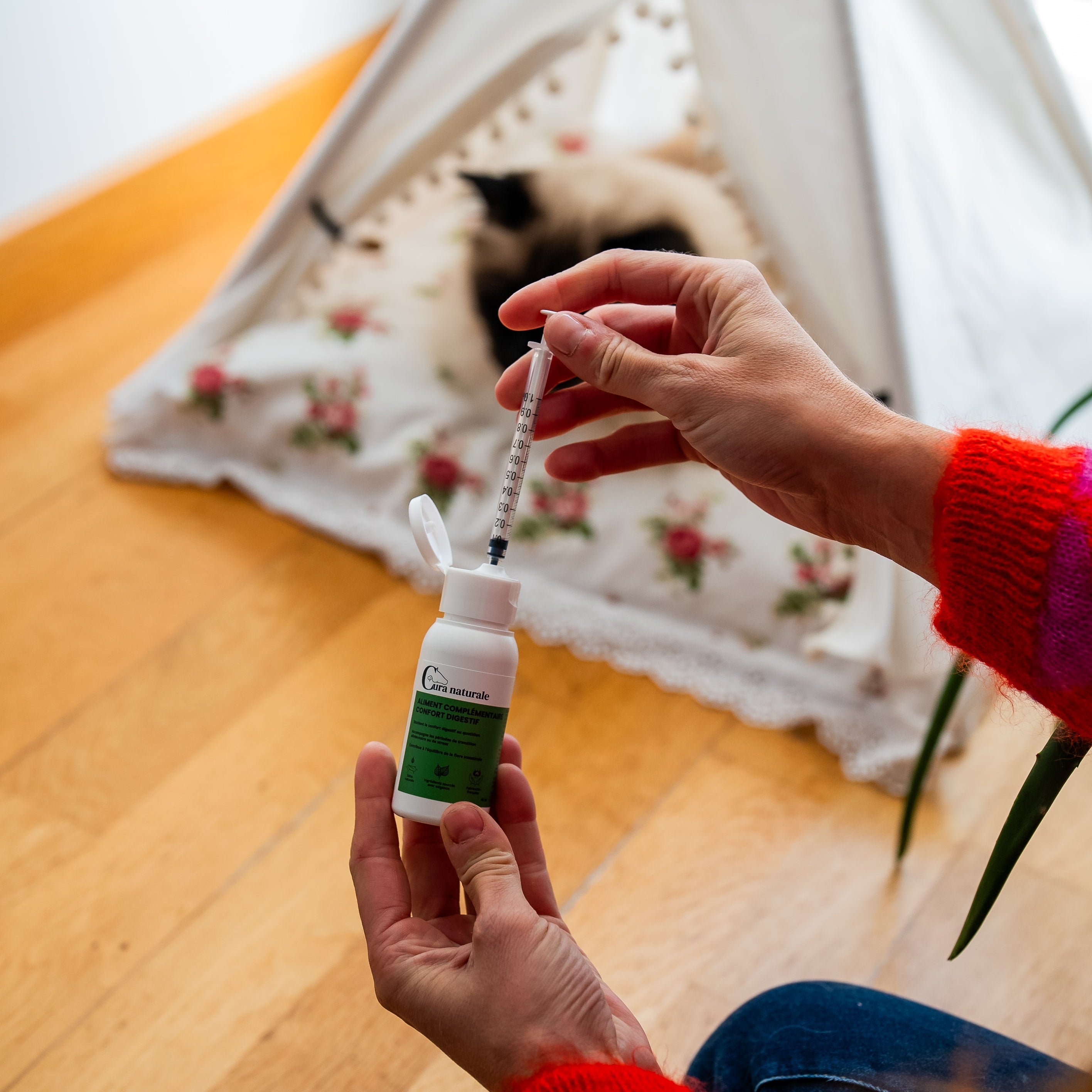 Chat en forme grâce au complément confort digestif Cura naturale