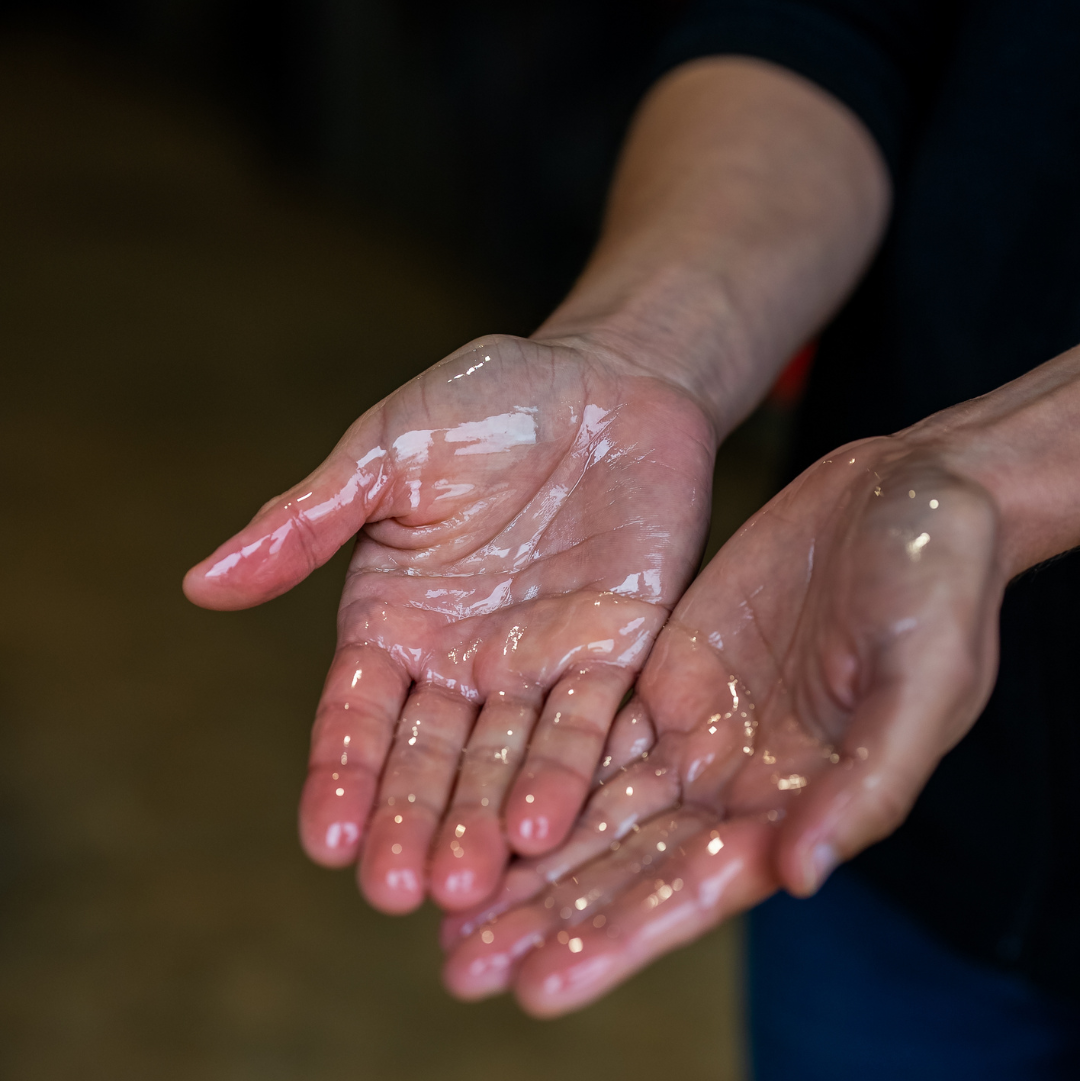 Cheval soigné après utilisation du huile chauffante Cura naturale