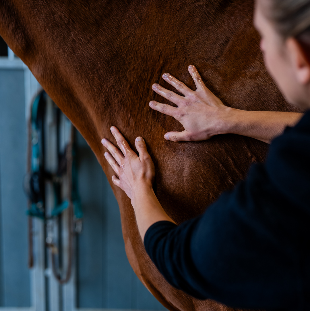 Détail de la texture du huile chauffante naturel Cura naturale pour cheval -3