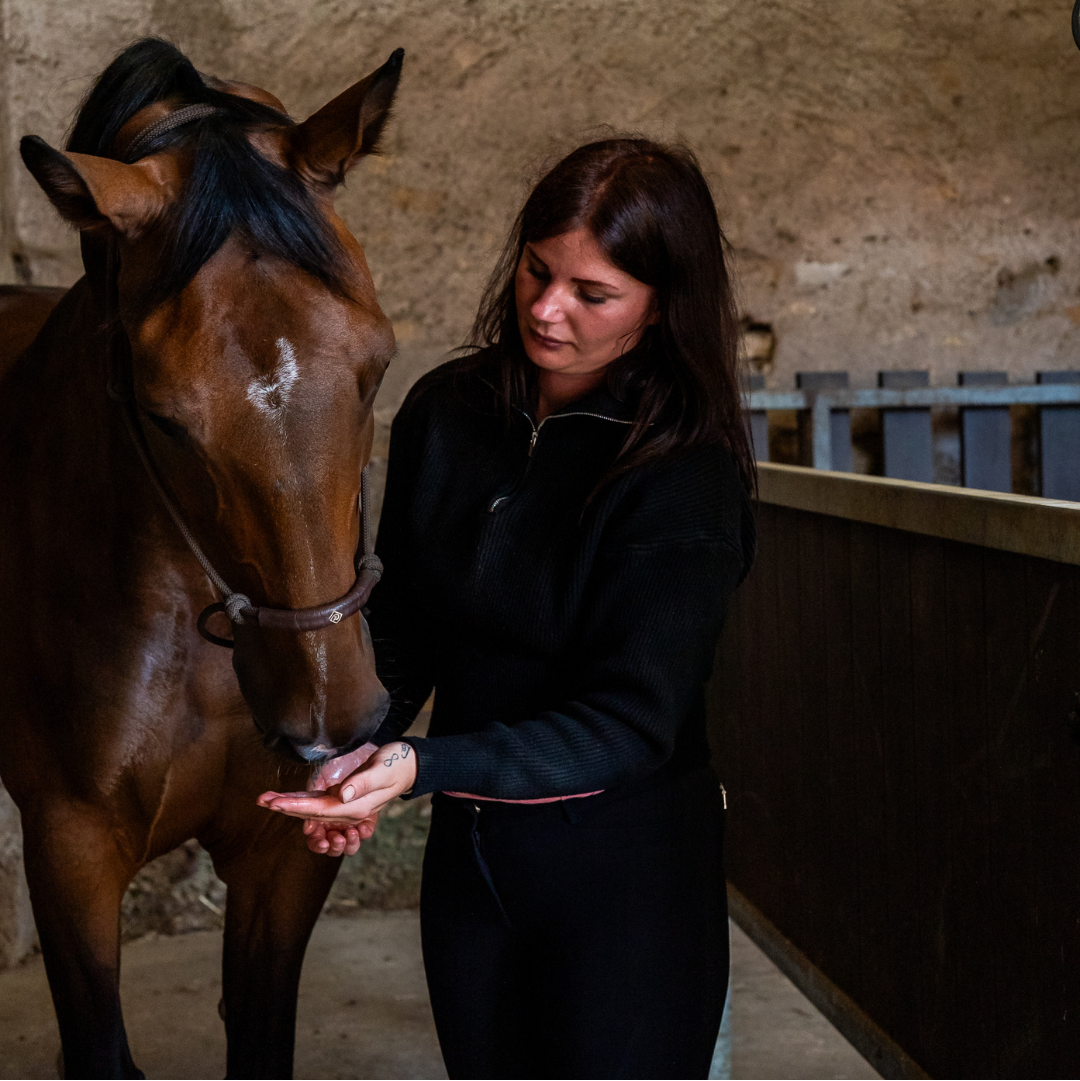 Détail de la texture du huile confort hormonal naturel Cura naturale pour cheval