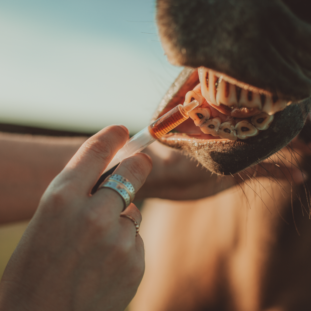 Entwässerndes Nahrungsergänzungsmittel für die Nieren