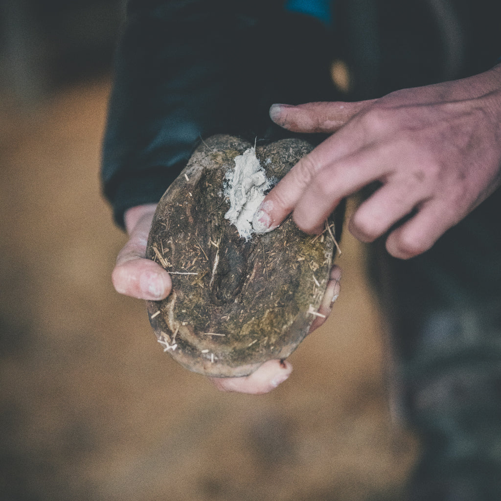 Soin pourriture des fourchettes