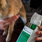 Aliment complémentaire confort cutané chien - boîte et flacon - Cura naturale