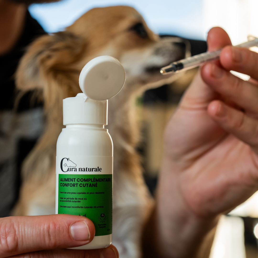 Aliment complémentaire confort cutané chien - flacon et seringue doseuse - Cura naturale