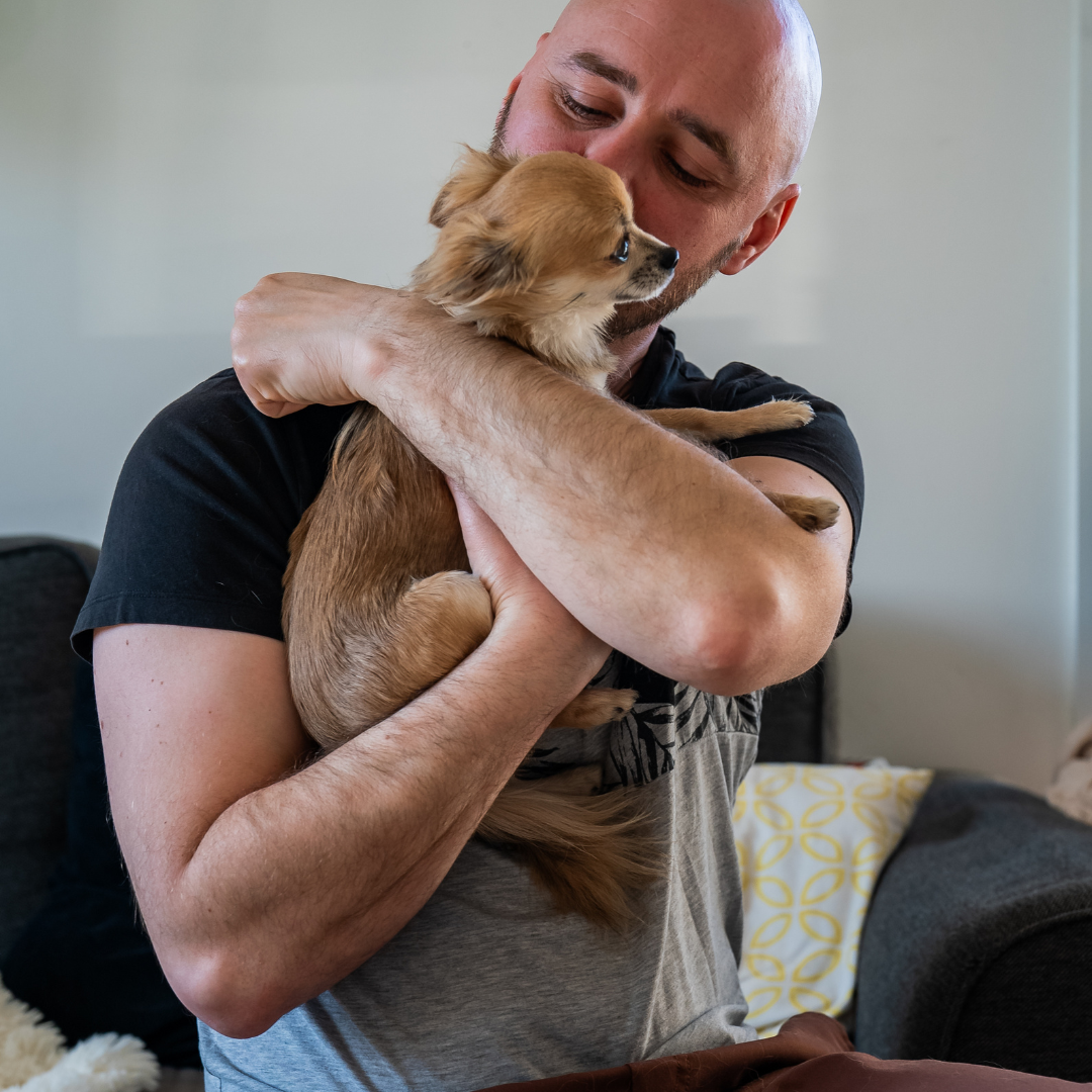 Aliment complémentaire confort cutané chien - maître tenant son chihuahua - Cura naturale