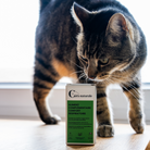 Aliment complémentaire confort respiratoire chat - boîte au sol - Cura naturale