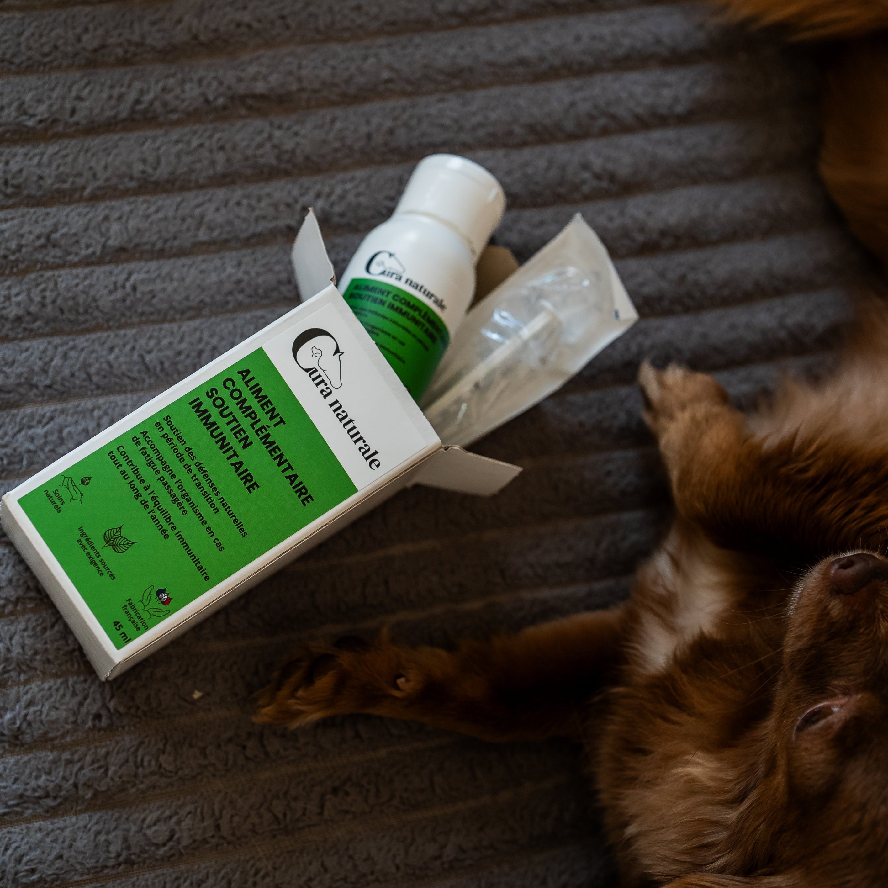 Aliment complémentaire soutien immunitaire chien - boîte et flacon - Cura naturale