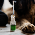 Aliment complémentaire confort articulaire chien - flacon et seringue au sol - Cura naturale