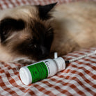 AC relaxant chat flacon