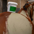 Horse muscle comfort clay application