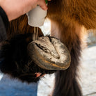 Poudre assainissante texture