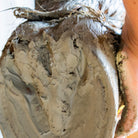 Argile sabots sensibles texture