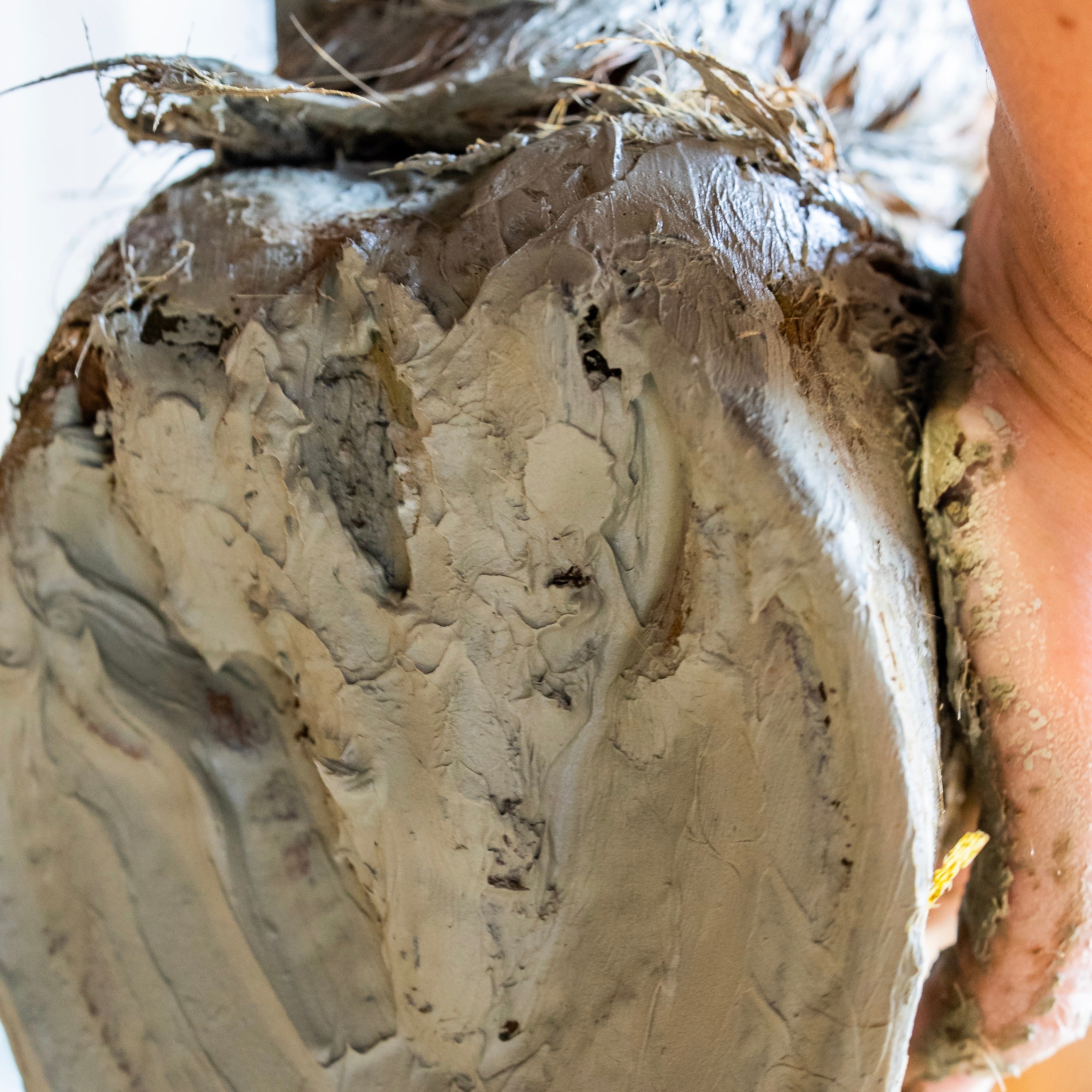 Argile sabots sensibles texture