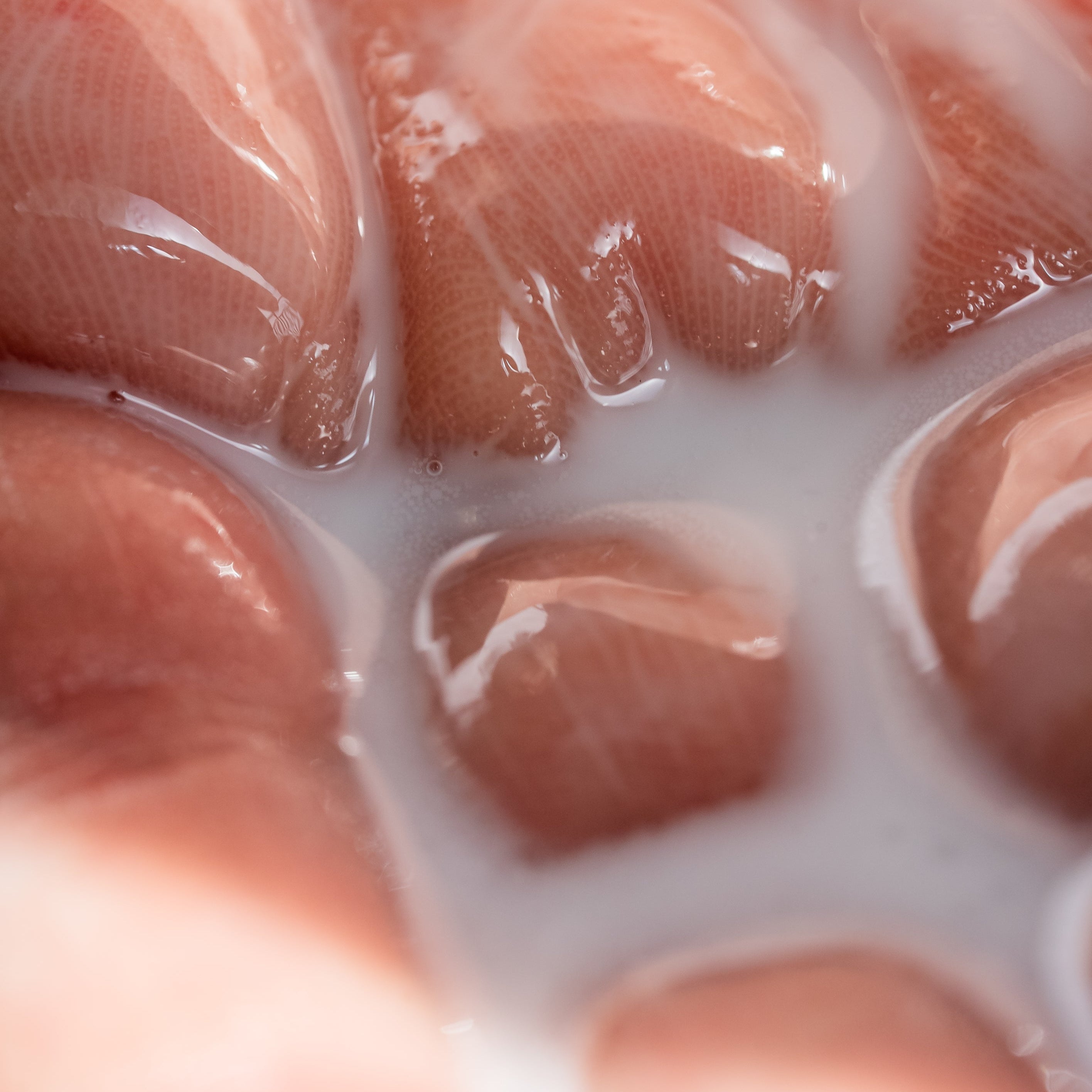 Démêlant & lustrant chat texture