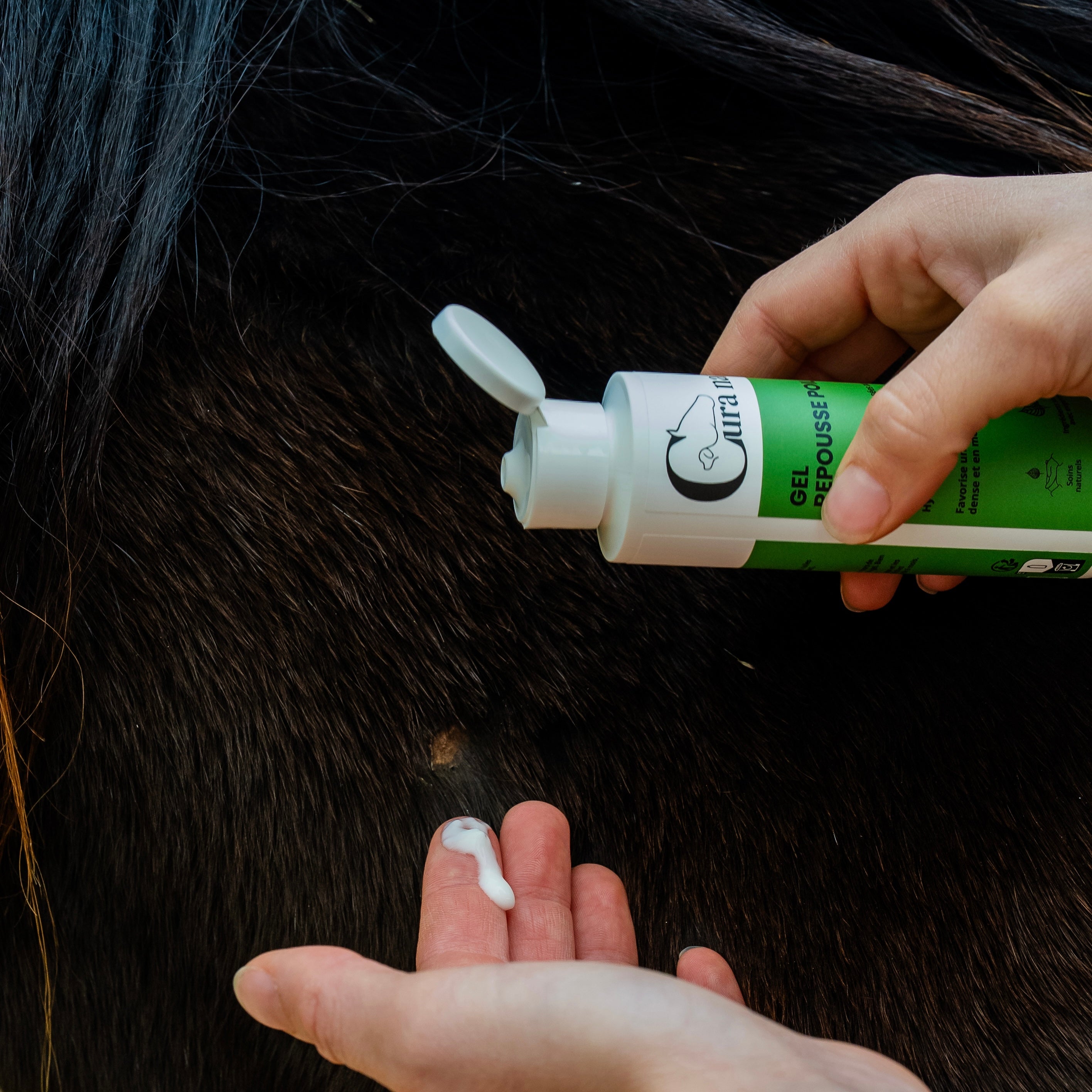 Gel repousse poil cheval utilisation