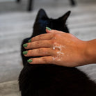 Démêlant & lustrant chat application