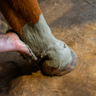 Argile sabots sensibles application