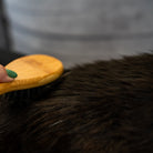 Démêlant & lustrant chat application