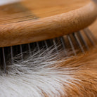 Resultado de desembaraçar e polir o cão