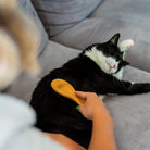 Démêlant & lustrant chat application