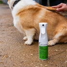 Desembaraçador de cachorro e frasco de esmalte