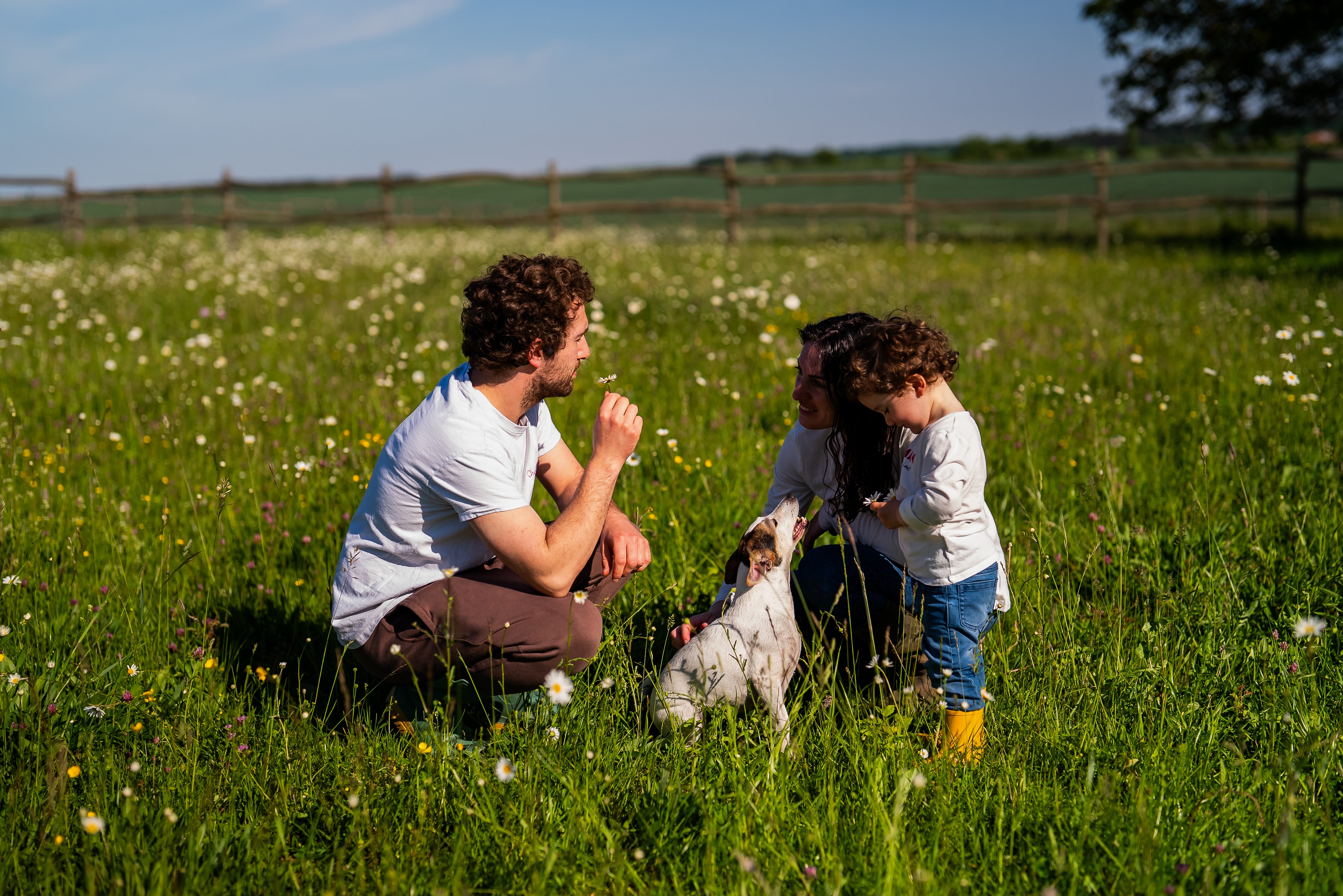Photo bannière section histoire site