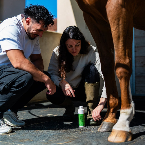 Photo section histoire Bruno Aurélie