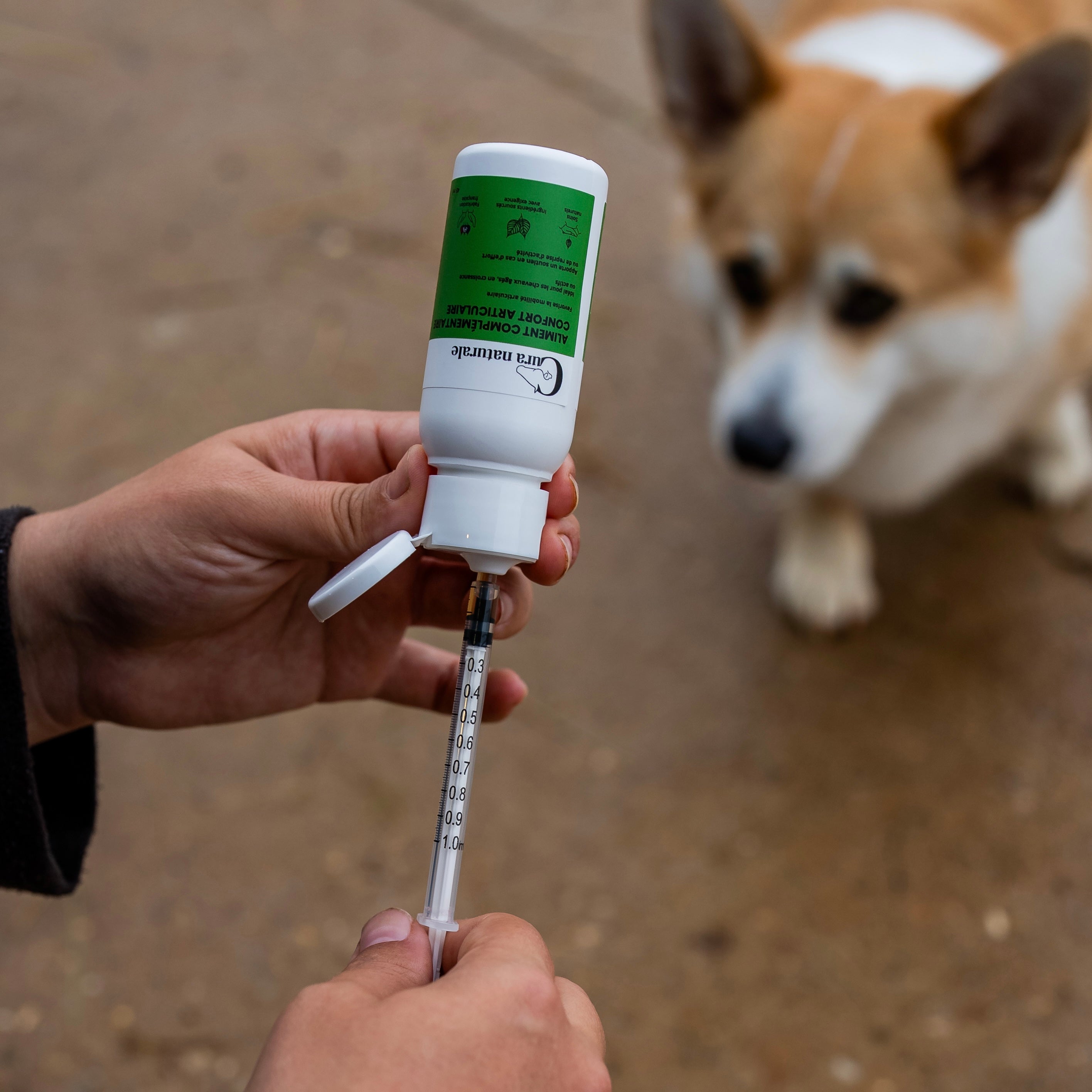 AC Confort articulaire chien